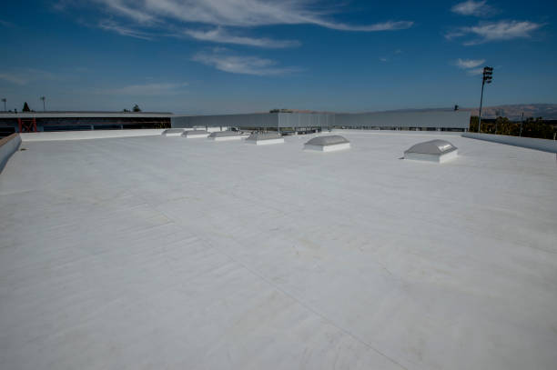 Best Storm Damage Roof Repair  in Mineral Ridge, OH